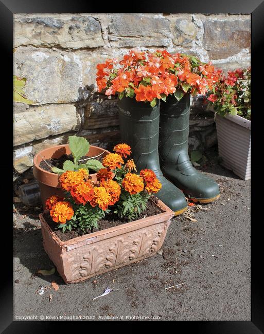 Wellingtons as Flower Pots Framed Print by Kevin Maughan