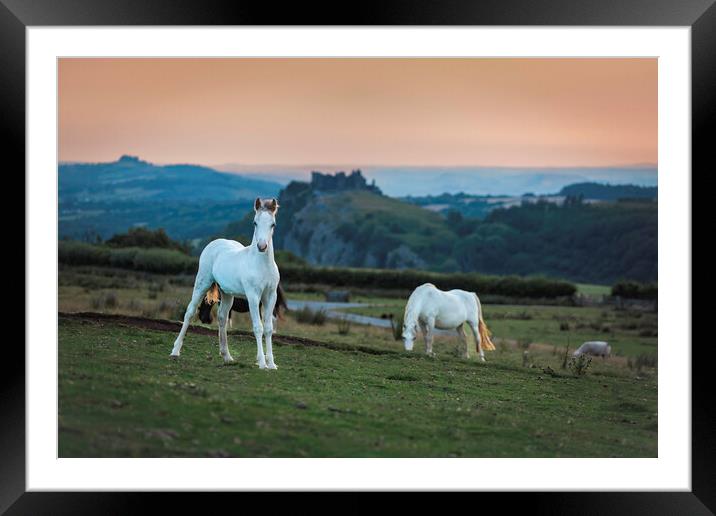 Ponies at Carreg Cennin Castle Framed Mounted Print by Leighton Collins