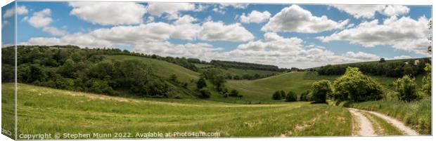 Valley on the Cranborne Chase Canvas Print by Stephen Munn