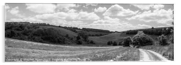 Valley on the Cranborne Chase in black and white Acrylic by Stephen Munn