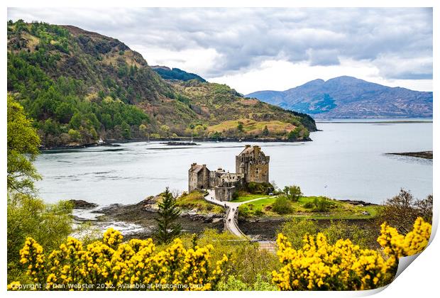 Eilean Donan Castle from Hillside with 3 Sea Lochs (Loch Duich, Loch Long and Loch Aish) Print by Dan Webster