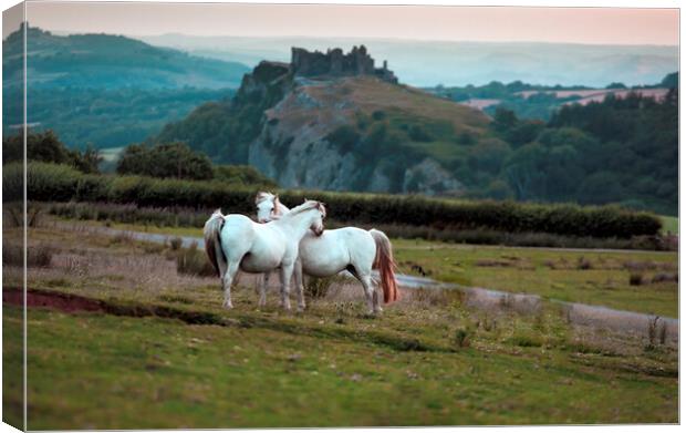 Horses at Carreg Cennin Castle Canvas Print by Leighton Collins