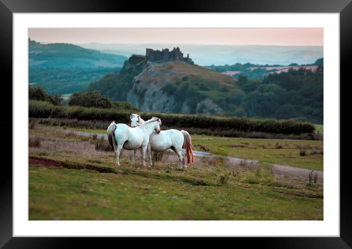 Horses at Carreg Cennin Castle Framed Mounted Print by Leighton Collins