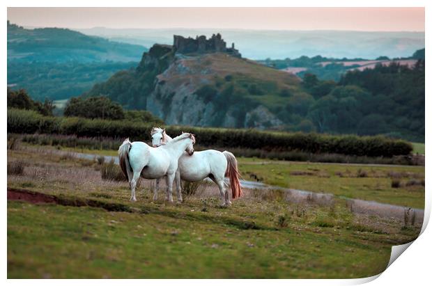 Horses at Carreg Cennin Castle Print by Leighton Collins