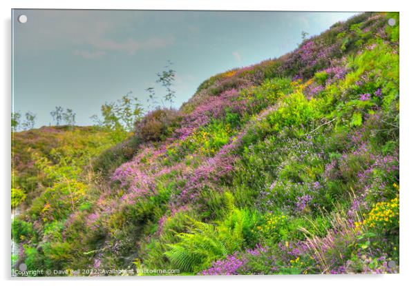 A lush green hillside with Heather and Gorse in bl Acrylic by Dave Bell