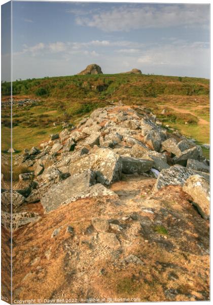 Haytor  Outdoor stone rock  pile Canvas Print by Dave Bell
