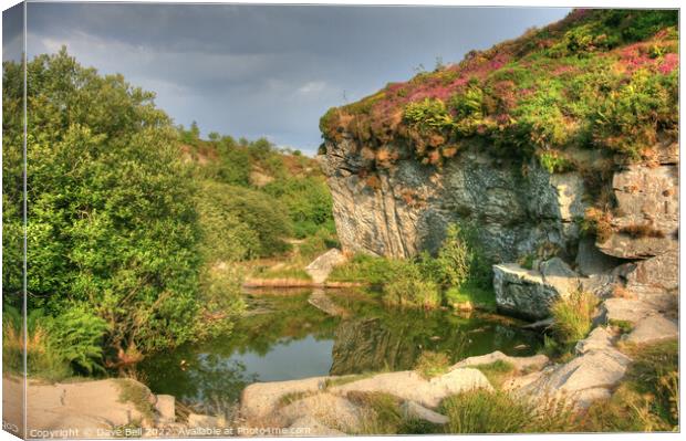 Quarry Face and pond Canvas Print by Dave Bell