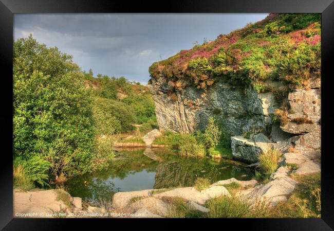 Quarry Face and pond Framed Print by Dave Bell