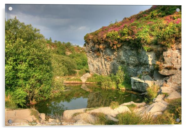 Quarry Face and pond Acrylic by Dave Bell