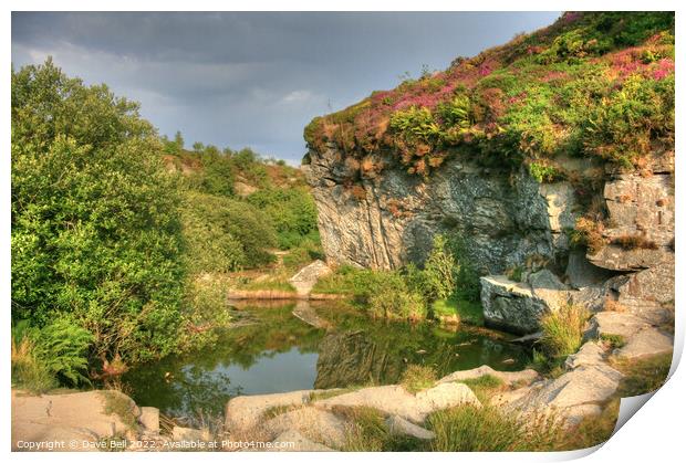 Quarry Face and pond Print by Dave Bell