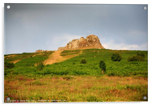 Haytor rock On Dartmoor Acrylic by Dave Bell