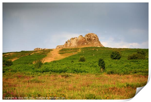 Haytor rock On Dartmoor Print by Dave Bell