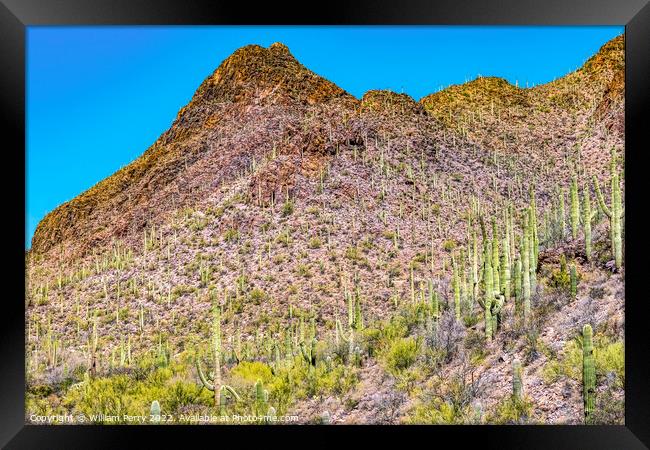 Mountains Cactus Sonoran Desert Saguaro National Park Tucson Ari Framed Print by William Perry