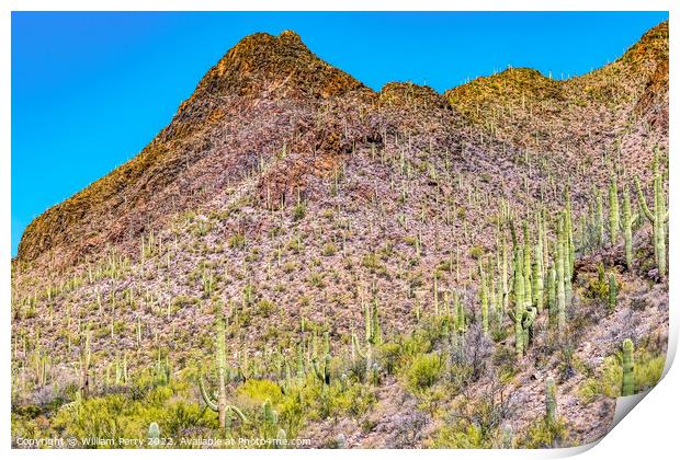 Mountains Cactus Sonoran Desert Saguaro National Park Tucson Ari Print by William Perry