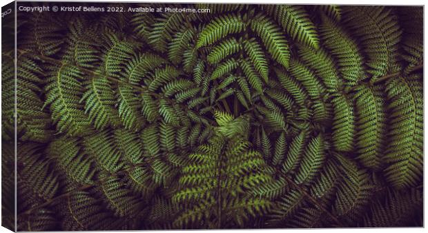 Horizontal banner shot of green fern leaves spreading out creating swirly natural pattern background. Canvas Print by Kristof Bellens