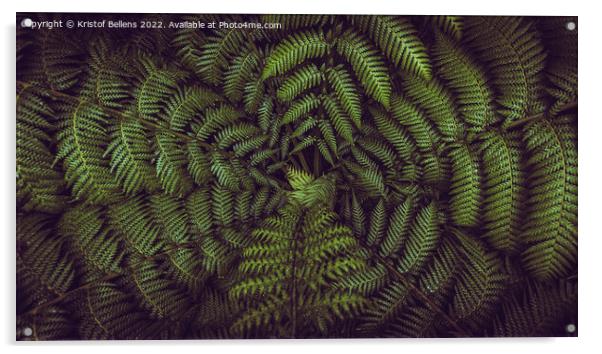 Horizontal banner shot of green fern leaves spreading out creating swirly natural pattern background. Acrylic by Kristof Bellens