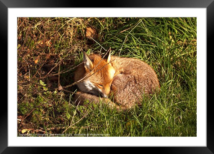 Sleeping Fox Framed Mounted Print by Christine Kerioak