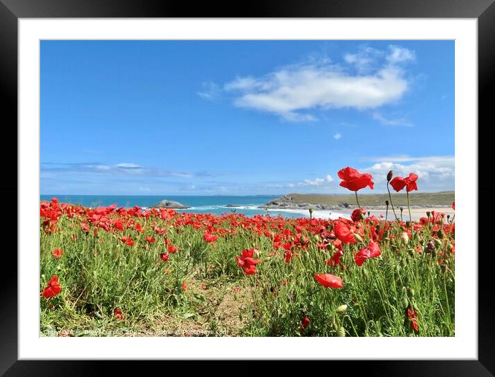 Majestic Poppies Dancing by the Sea Framed Mounted Print by Beryl Curran