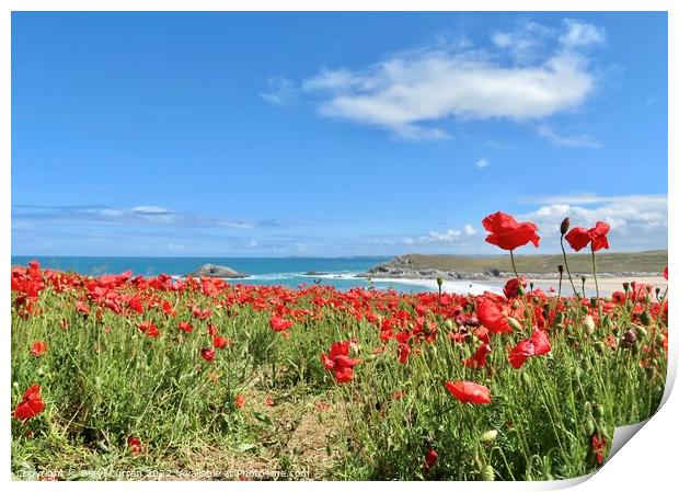 Majestic Poppies Dancing by the Sea Print by Beryl Curran
