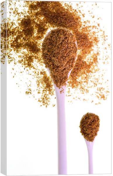 Coriander Seeds Ground Powder Canvas Print by Antonio Ribeiro