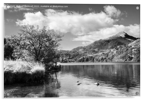 Yr Aran Reflection in Llyn Gwynant Snowdonia Mono Acrylic by Pearl Bucknall
