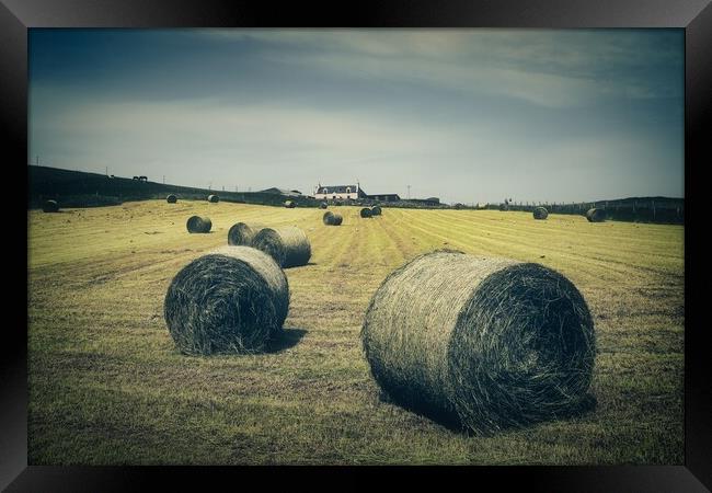 Hay Bales At Berry Farm Framed Print by Anne Macdonald