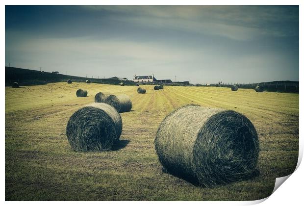 Hay Bales At Berry Farm Print by Anne Macdonald