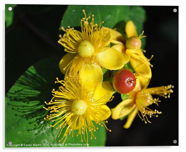 Yellow Flower, Red Berry Acrylic by Karen Martin