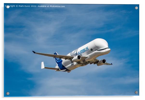 Airbus Buluga Aircraft Acrylic by Mark Dunn