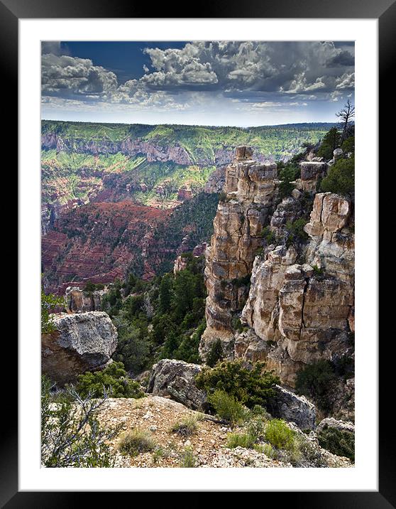 Point Imperial cliffs Framed Mounted Print by Gary Eason
