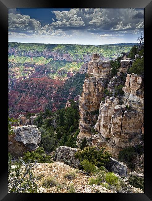 Point Imperial cliffs Framed Print by Gary Eason