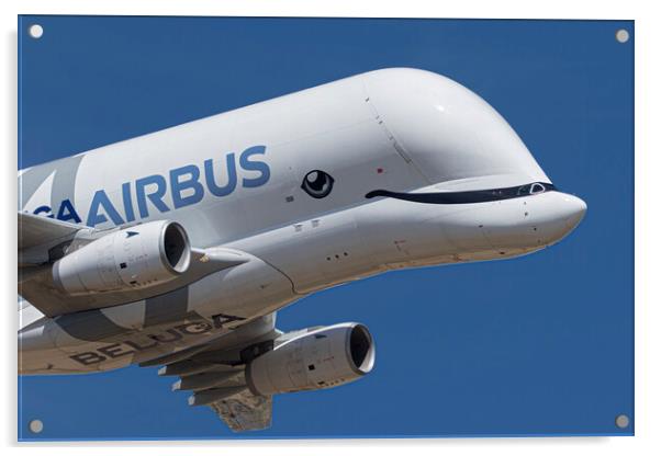 Airbus A330-743L Beluga XL Acrylic by J Biggadike