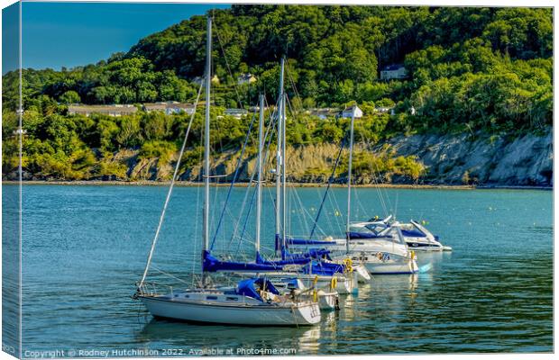 Yachts Moored in New Quay Canvas Print by Rodney Hutchinson
