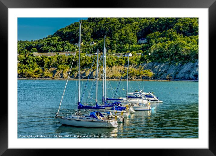 Yachts Moored in New Quay Framed Mounted Print by Rodney Hutchinson