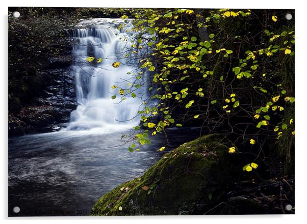 Waterfall Watersmeet River Lyn Acrylic by Dave Wilkinson North Devon Ph