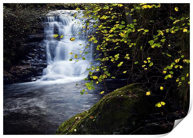 Waterfall Watersmeet River Lyn Print by Dave Wilkinson North Devon Ph