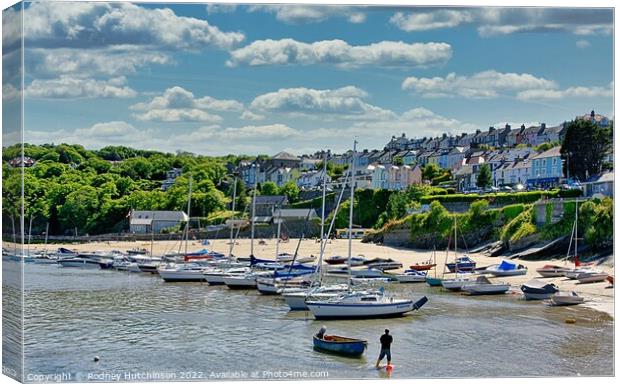 Serene Summer in New Quay Canvas Print by Rodney Hutchinson
