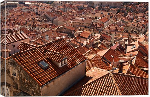 Red Roofs Canvas Print by Martyn Taylor
