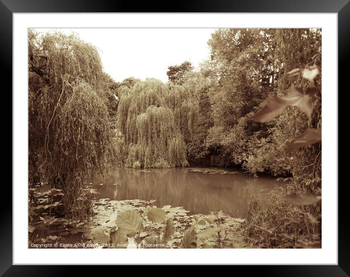 River Leam Royal Leamington Spa Framed Mounted Print by Elaine Anne Baxter