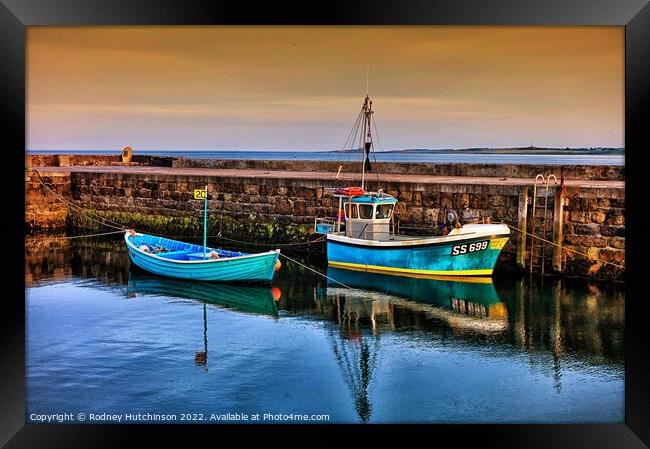 Fishing Boats in Beadnell Harbor Framed Print by Rodney Hutchinson