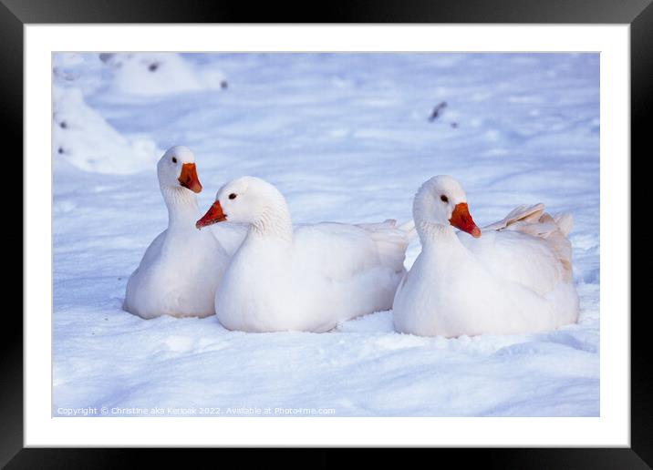 Geese in the Snow Framed Mounted Print by Christine Kerioak