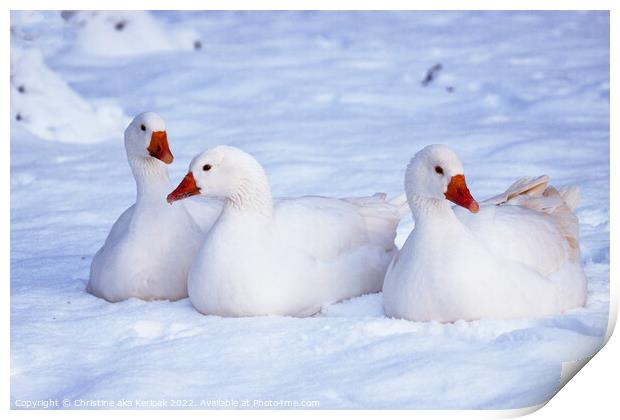 Geese in the Snow Print by Christine Kerioak