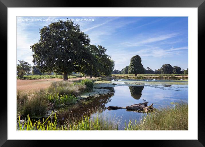 Bushy Park main pond Framed Mounted Print by Kevin White