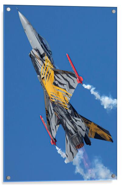 Belgian F-16 Fighting Falcon Acrylic by J Biggadike