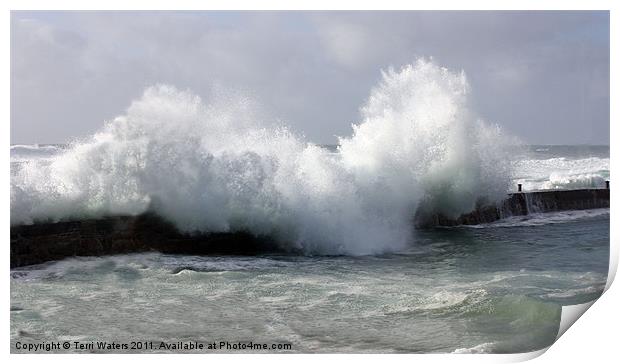 Wild Waves in Cornwall Print by Terri Waters
