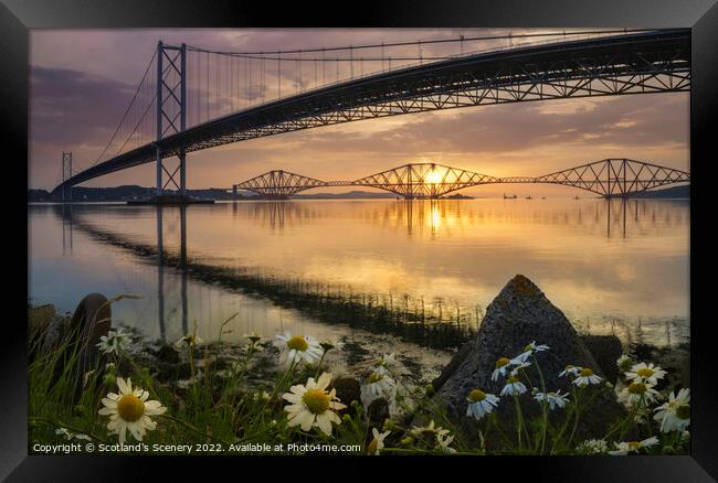 forth Bridges, Scotland. Framed Print by Scotland's Scenery
