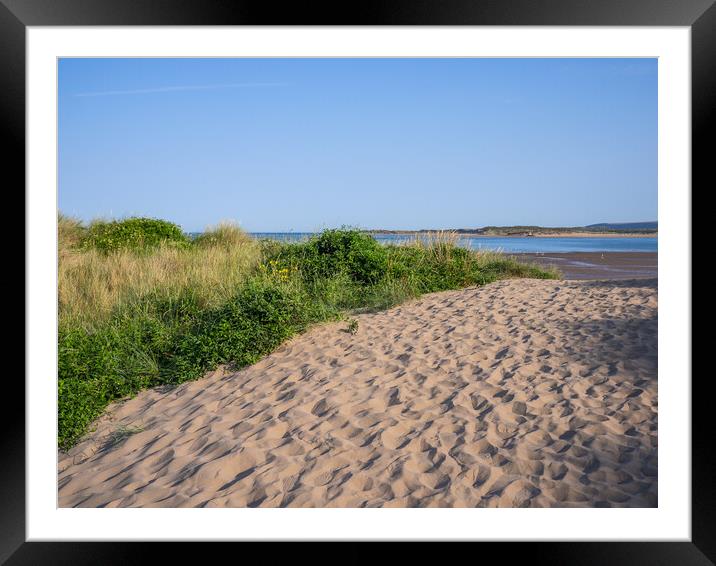 Instow sand dunes Framed Mounted Print by Tony Twyman
