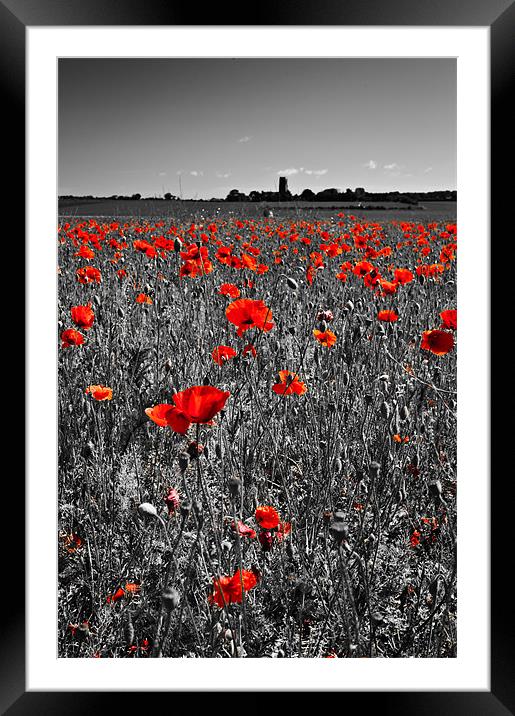 Poppy view Framed Mounted Print by Stephen Mole