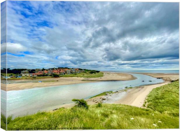 Alnmouth Northumberland  Canvas Print by David Thompson