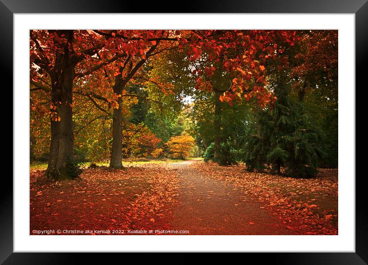 Red Autumn Tree Lined Path Framed Mounted Print by Christine Kerioak